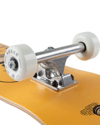 Skateboard Complet Whiskey Up Cycle - 7.75