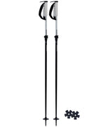 Paintbrush Ski Poles - Black