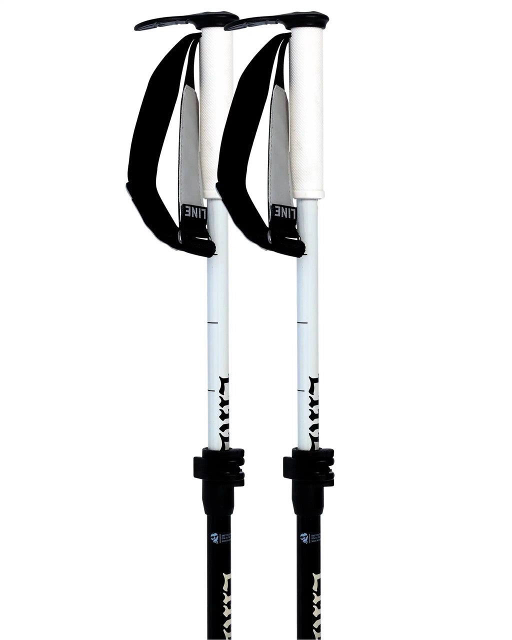 Paintbrush Ski Poles - Black
