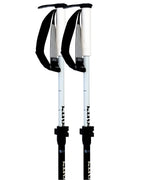 Paintbrush Ski Poles - Black