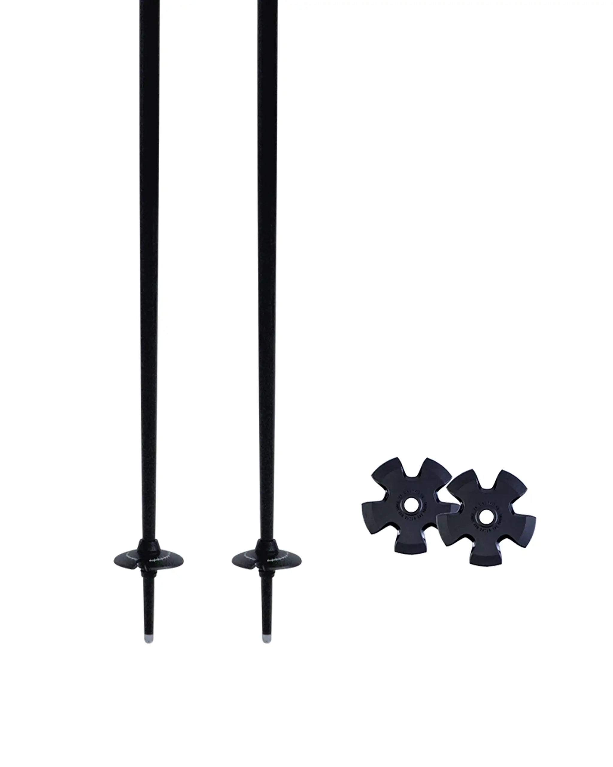 Paintbrush Ski Poles - Black