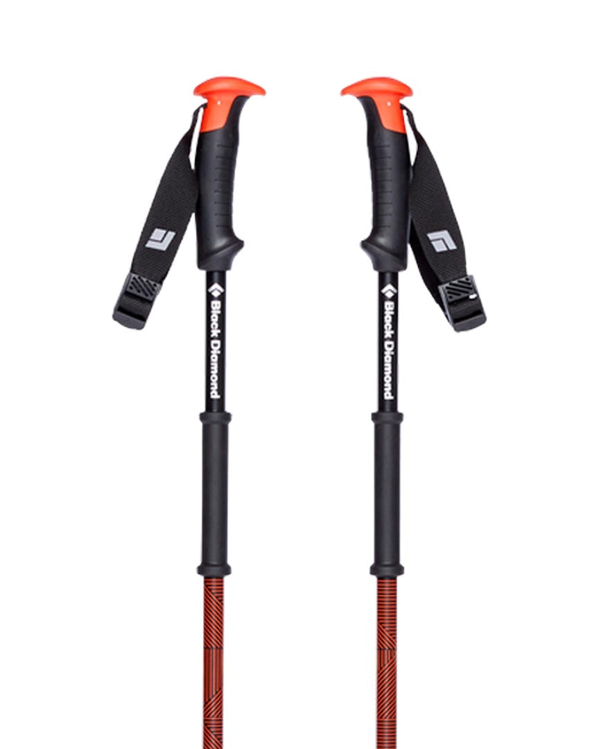 Traverse Ski Poles