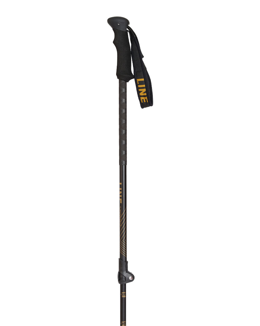 Line Vision Ski Poles - Black Gold