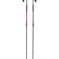 Ski poles Traverse