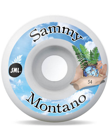 Samuel Montano Tide Pools Skateboard Wheels - Ag Formula 99A