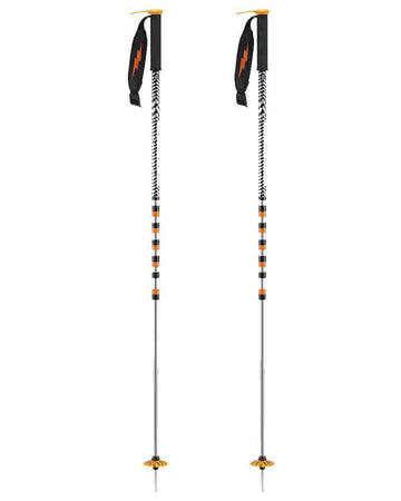 Pin Ski Poles - Silver